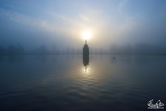 Foggy Dawn