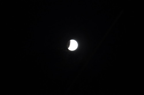 Lunar Eclipse 15th April 2014 taken from Upper Ferntree Gully