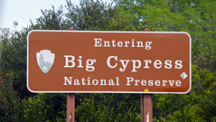 Big Cypress NP, FL