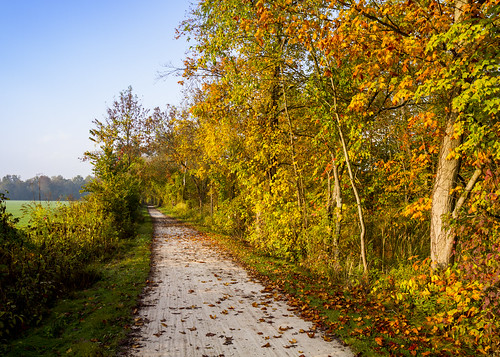 The Towpath in Fall Color