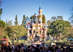 Disneyland January 2015