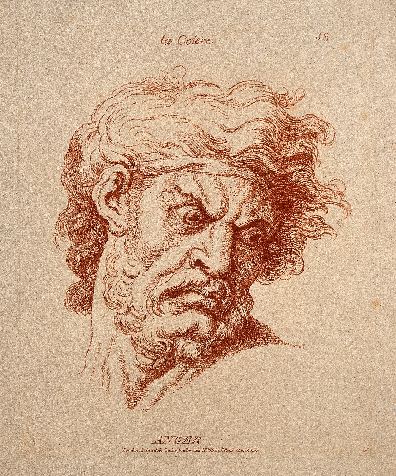 The face of a bearded man expressing anger. Etching in the crayon manner by W. Hebert, c. 1770, after C. Le Brun. Credit Wellcome Images