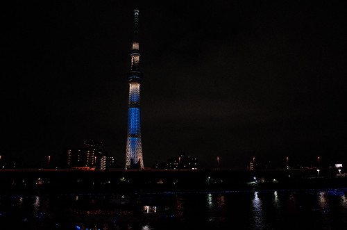 Tokyo Hotaru Light Symphony 2013-29