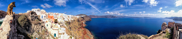 Oia, Santorini - Wall Dog!