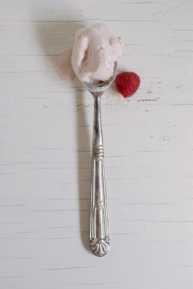 vanilla raspberry rhubarb frozen yogurt