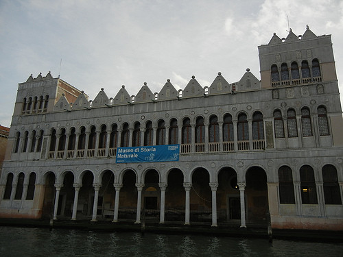 DSCN0557 _ Museo di Storia Naturale - Fondaco dei Turchi, Venezia, 11 October
