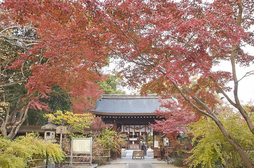 【写真】紅葉 : 梨木神社