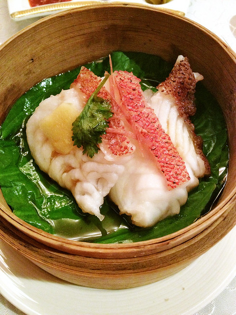 Hong Kong-Style Steamed Coral Trout