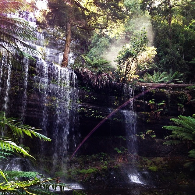 Waterfall, forest, mist, rainbow... #perfection #russellfalls #tasmania #instatassie