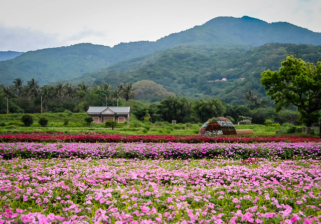 Uddybe Multiplikation Regn The 7 Natural Wonders of Taiwan | Wandering Educators