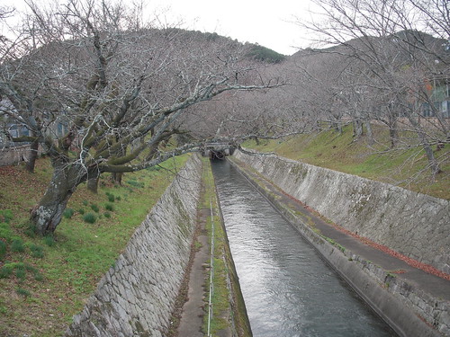 三井寺へ琵琶湖疎水