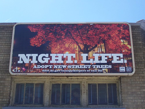 I don't understand what "Night. Life" has to do with the city's tree canopy (DC DDOT billboard)