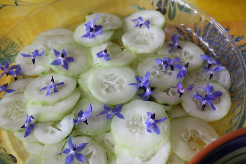 Cucumber with borage flowers