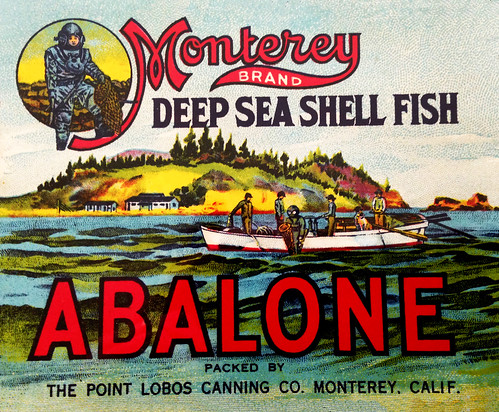 Abalone Can Label, about 1916 by JFGryphon