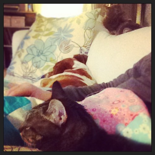 I've got a lot of help hand-quilting.