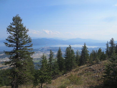 View from the top of the Mickinnick Trail