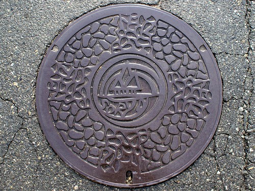 Soryo HiroshimSo a , manhole cover （広島県総領町のマンホール）