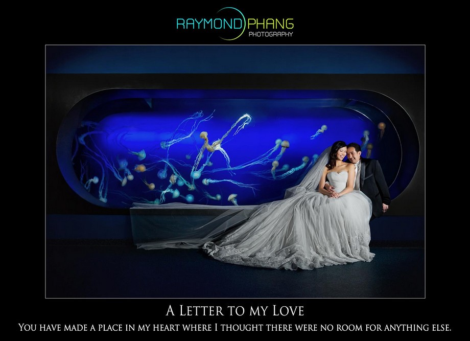 Raymond Phang Conceptualised Pre-Wedding