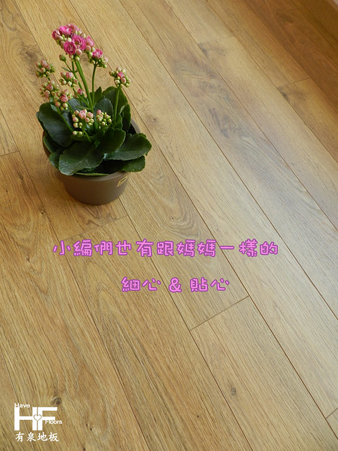 耐磨木地板 Egger超耐磨地板 台北木地板施工 桃園木地板 新竹木地板  木地板價格 木地板品牌 (7)