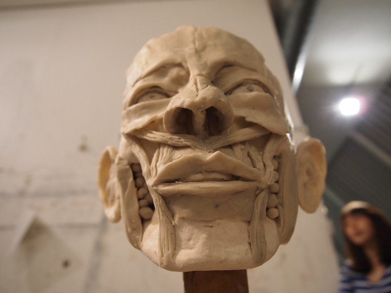 OPEN URBANISM: Facial Reconstruction / Anatomy for Artists
