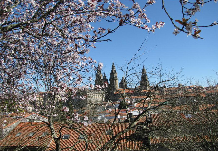 4. Vista de Santiago en primavera. Autor, Compostelavirtual
