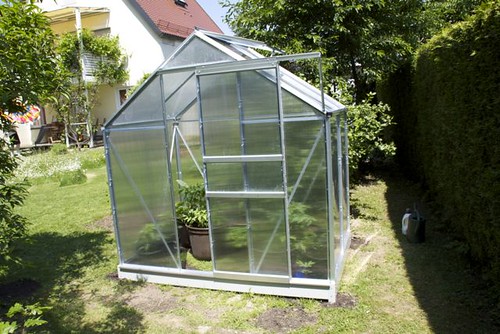 greenhouse2