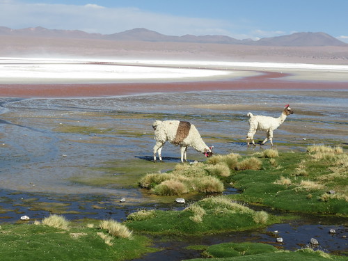 2nd day of Uyuni Salt Flats