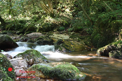 Río Bidasoa