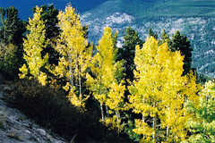 Colorado - September 2002