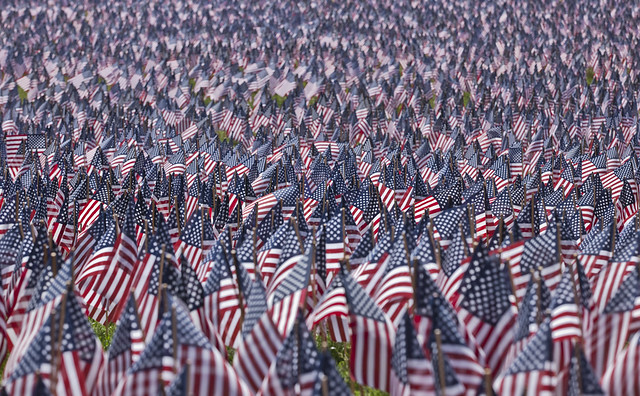 American Flags Planted in Boston Common