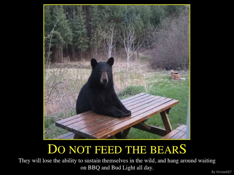 Do Not Feed The Bears