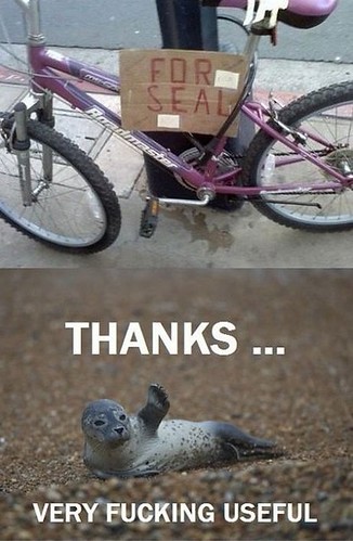 funny_pink_bicycle_seal1