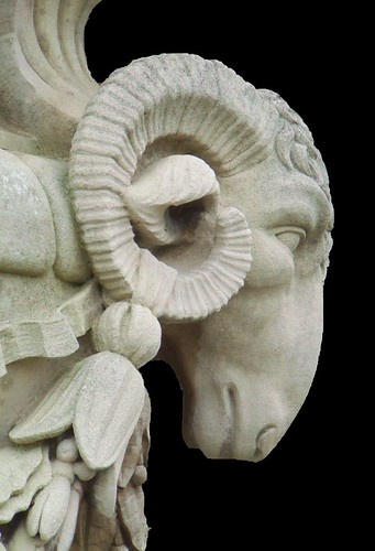 Ram head detail by stephencritchley