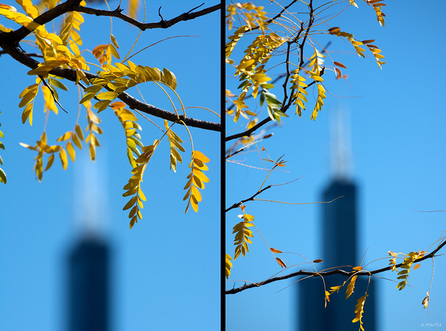 Chicago, Fall