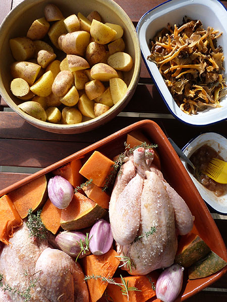 poulet, chanterelles et pommes de terre