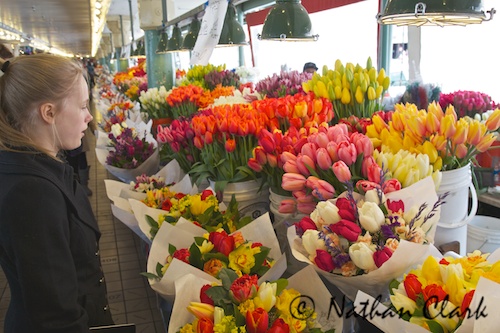 Pike Place Tulips