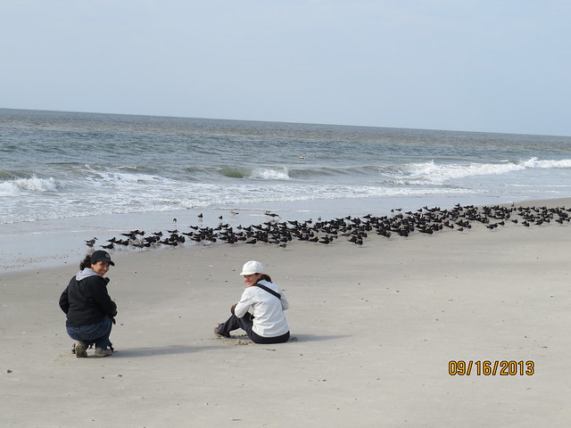 Renee DePrato and Melissa Penta enjoying the skimmers  2nd Ave Jetty, Cape May, NJ
