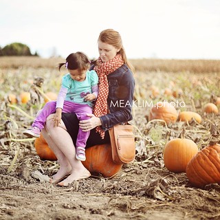 pumpkin patch 2013
