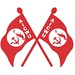 CPMN-Party Mass Organization Flags-AICWU