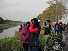 數鳥活動照 （圖片來源：中華鳥會）