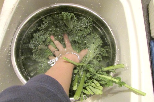Demystifying Kale