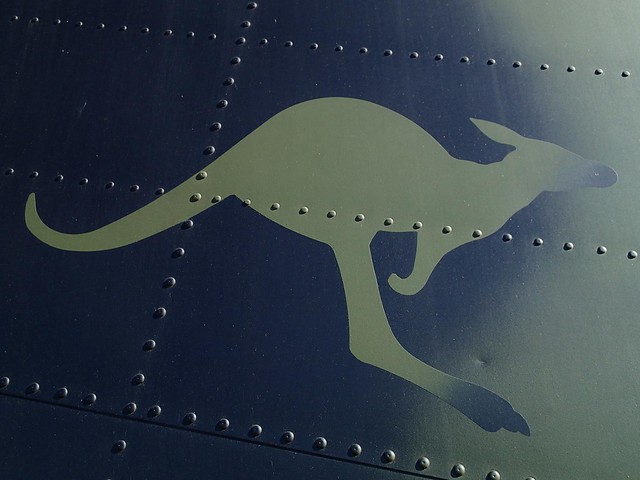 Kangaroo plane insignia - Wings Over Illawarra airshow