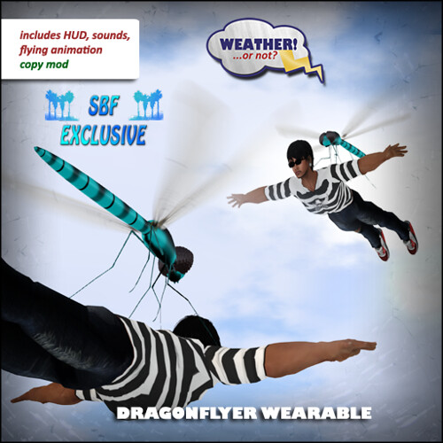 Dragonflyer Wearable box SBF