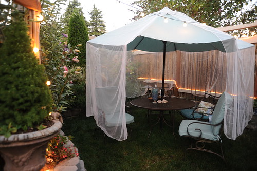 Mosquito netting over the blue green umbrella, patio set, pink lilies just blooming, evening, lights, A Garden for the Buddha, Seattle, Washington, USA by Wonderlane