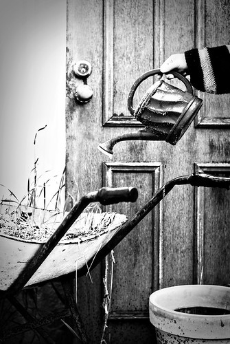 236/365 Wheelbarrow, door and a watering pot by Darcy89