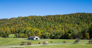 Pinnacle Mountain Farm