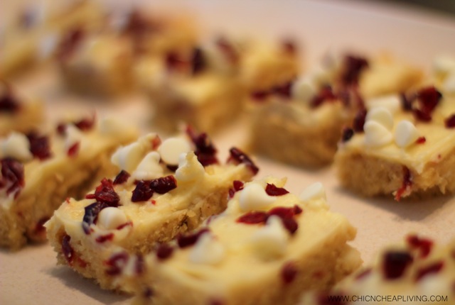 Cranberry bliss bars side macro by Chic n Cheap Living
