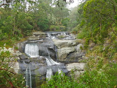 Australia 12 Agnes Falls