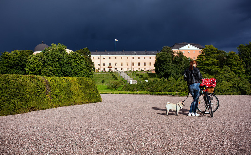 Uppsala slott, Kulturnatt 2012