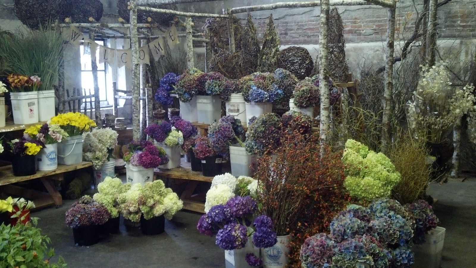西雅图花卉市场的俄勒冈海岸花卉